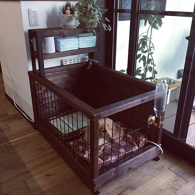 Lounge,老犬との暮らし,犬のゲージDIY,DIY,犬 ゲージ,犬小屋DIY dogsの部屋