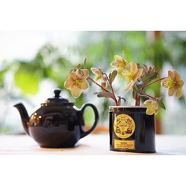 ブラウンベティ,紅茶缶,マリアージュフレール,庭の花を飾る,庭の花,花のある暮らし,リビング,ダイニングテーブル,植物のある暮らし,暮らしを楽しむ,クリスマスローズ,心地よい暮らし,花と緑のある暮らし,暮らしに花を,花と暮らす,My Desk noriflowerの部屋