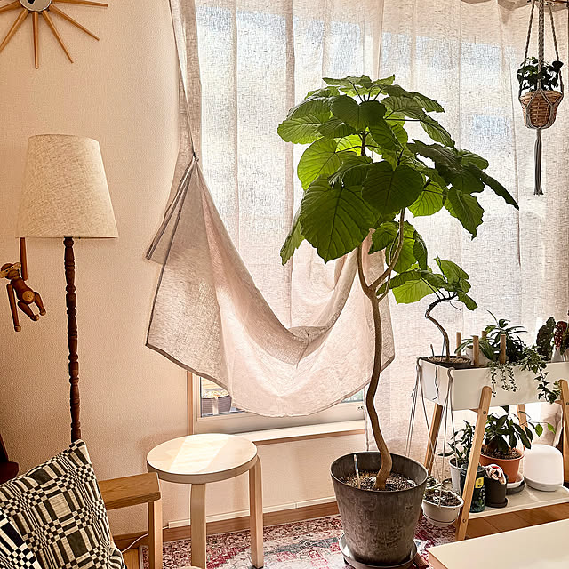 Lounge,artek,北欧雑貨,ナチュラルインテリア,北欧インテリア,狭小住宅,リネンカーテン,新生活,小さなおうち,2階リビング,小さなお家,建売住宅,小さいおうち,いいね&フォローありがとうございます☆,すっきり暮らす,住めば都,狭小3階建,心地よい暮らし,ナチュラルヴィンテージ,ヒュッゲ,KURASIKU masumiの部屋