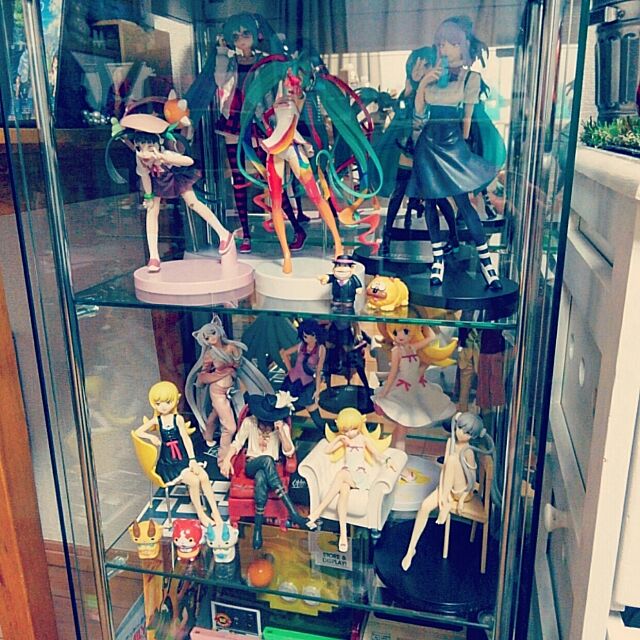 My Shelf,ガラスケース,化物語,初音ミク,忍野忍,枝垂ほたる,鷹の目,フィギュア Ruriの部屋