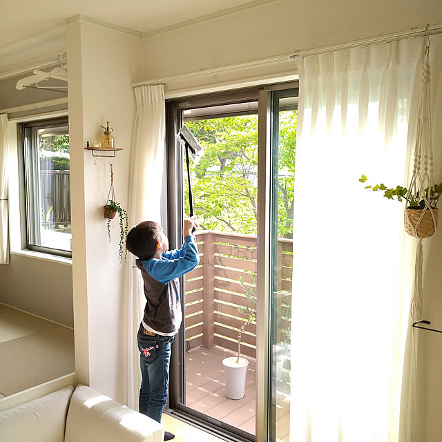 On Walls,暮らしの味方,ハンギンググリーン,こどもと暮らす。,ウッドデッキ,公園目の前,子供のいる暮らし,借景,普通の家,簡単掃除,網戸掃除,ハナミズキ,男の子3兄弟,クイックルワイパー,花王,立体吸着ウエットシート,お手伝い,裏ワザ掃除,カーテン,小上がり和室 woodstockの部屋