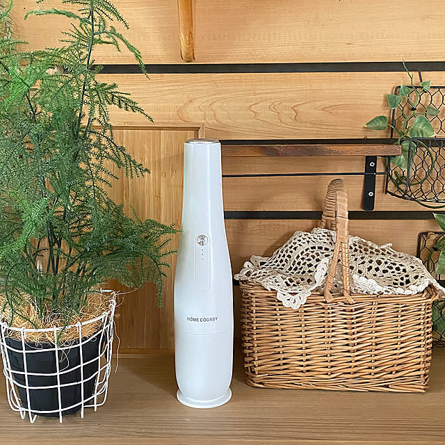 My Shelf,板壁DIY,フェイクグリーン,コスパ良し,コードレスハンディクリーナー,イオン ホームコーディ,2025.2.16,プライベートブランド,いつもありがとうございます,フォローありがとうございます mintteaの部屋