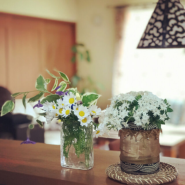 いつもいいねありがとうございます♡,寒い朝,起きられない,白い花,ノースポール,花のある暮らし,紫の花,名前忘れました,Kitchen Yokoの部屋