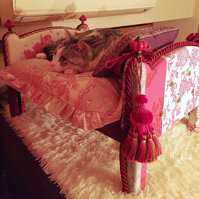 Bedroom,猫,猫ベッドDIY,カルトナージュ,タンスの上,ねこのいる日常 emmyyの部屋