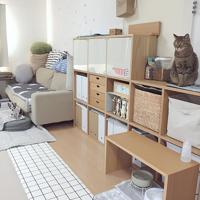 My Shelf,コの字の家具,無印良品,ペットと暮らす家 Emiの部屋