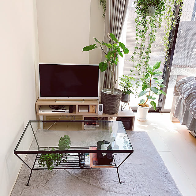 unico,観葉植物,一人暮らし,Francfranc,My Desk,8畳1K,グレーインテリア nahoの部屋