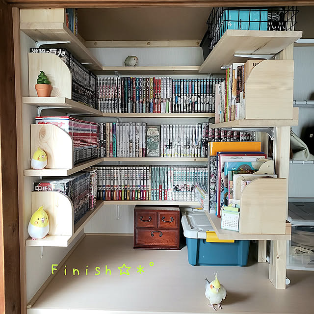 My Shelf,本棚DIY,押し入れ改造,押し入れ本棚,押し入れ収納,ツーバイフォー,ワンバイ材,ガチャ棚,DIY,築50年以上,棚柱,戸建て,築古,アフター,オカメインコと暮らす,マンガ収納,インコと暮らす家,オカメインコのいる暮らし,コザクラインコと暮らす,鳥グッズ,漫画大好き megggの部屋
