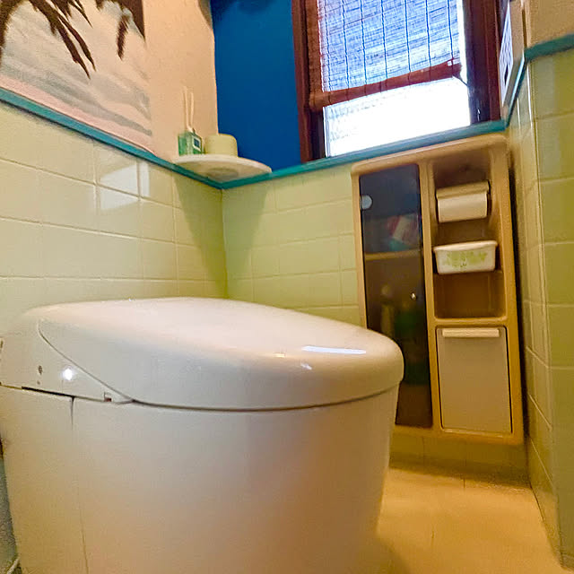 Bathroom,タンクレストイレ,アクセントクロス,ボタニカル,トイレのインテリア,No Green No Life,フェイクグリーン tututu0204の部屋