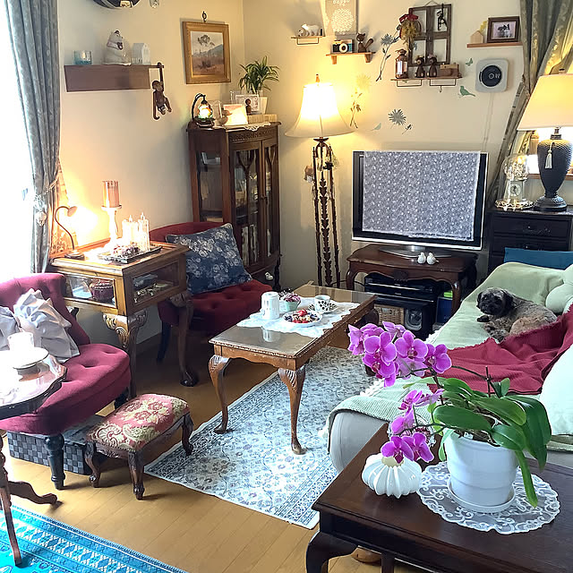 My Shelf,キャンドル,スツール,オットマン,レース,わんちゃんここあちゃん,Francfrancリボンクッション,ベビーベアー Baby Bear,カイ・ボイスン モンキー,窓枠風手作り,プランター,植木鉢,ブランケット,テーブルランプ,サイドテーブル,Tubicenテーブルランプ,ケーラーアーバニアリトルタワー,アラビアブラックパラティッシ,RoomClipショッピング,イッタラカステヘルミ キャンドルホルダー,海外風インテリア,ソファー,ラグ,花瓶,癒し,フラワーベース,ガーデン雑貨,ライトアップ,いいね&フォローありがとうございます☆,コーヒー taeの部屋