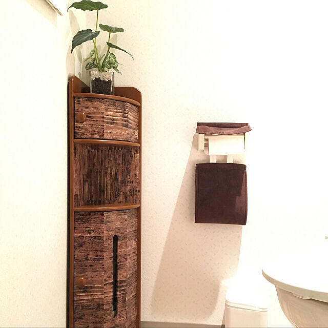 Bathroom,トイレ,ナチュラル,一人暮らし,DIY,ダイソー,100均,フェイクグリーン,アンティーク Mikuの部屋