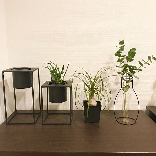 花瓶,ユーカリ,フラワーベース,観葉植物,My Shelf,観葉植物のある暮らし OPTYの部屋