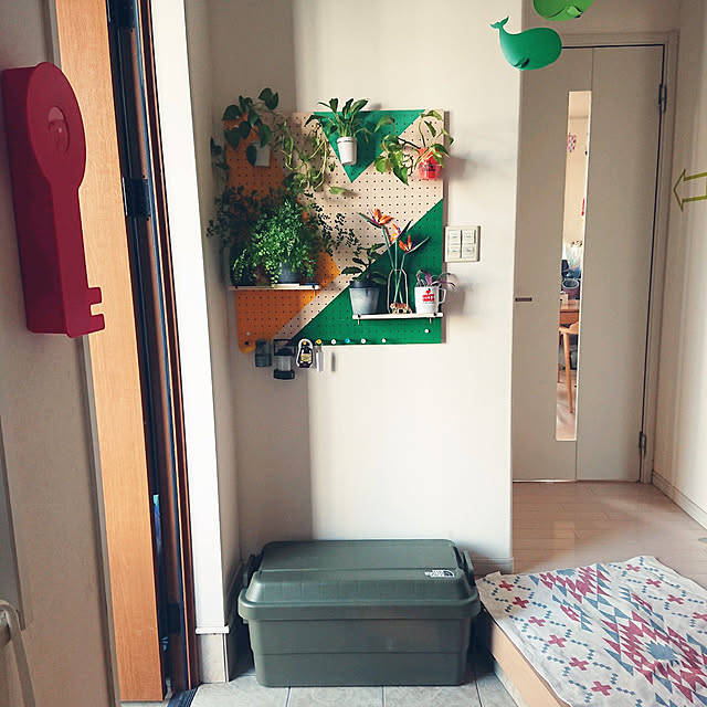 Entrance,おうち時間,パンチングボード,IKEA,セルフペイント,コンテナ,防災グッズ,防災,有孔ボード,DIY,観葉植物,玄関マット,レゴ,レゴボタニカルコレクション urchinの部屋