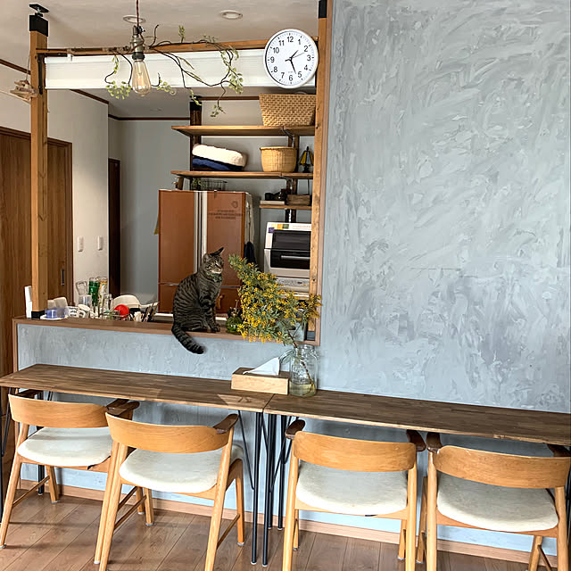キッチンカウンター,かっこいい部屋にしたい！,ラブリコアイアン,家時間を楽しく,カウンター,ダイニングにもなる,カウンターテーブル,漆喰壁,ミモザ,グレーの壁,ねこのいる日常,木のぬくもり,ラブリコでDIY,おうち時間を楽しむ,暮らしを楽しむ,Overview,生活感たっぷり mattunn24の部屋