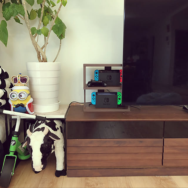 観葉植物,テレビ,テレビ台,Switch収納,SWITCH,ゲーム機収納,Lounge M-A.12の部屋