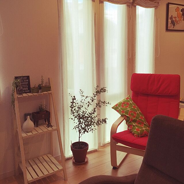 Lounge,ユーカリの木,IKEAの椅子,IKEA,セリア,雑貨,aziazi,観葉植物 yukachanの部屋
