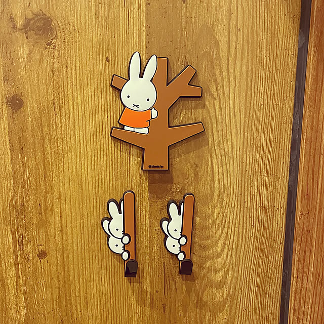 On Walls,玄関ドア,ダイソー,マグネットフック,ミッフィー yukimidaifukuの部屋