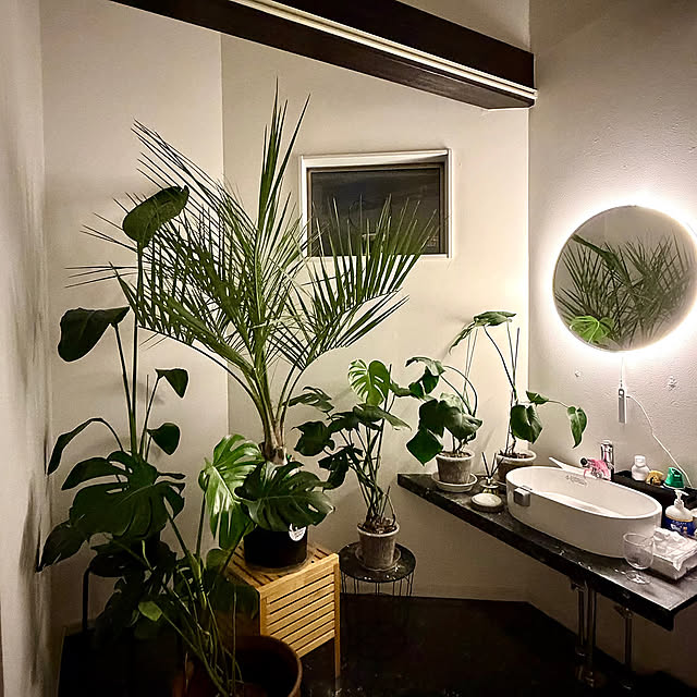 Entrance,夏の暮らし準備,ダイソー,DIY,海外風インテリア,ホテルライク,南国リゾート風,いつもありがとうございます♡,ペットと暮らす家,グリーンのある暮らし,モノトーンインテリア,吹き抜けのある家,植物のある暮らし,ペットと暮らすインテリア,大理石調の床,観葉植物のある暮らし MOMOMAMAの部屋