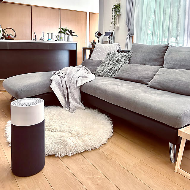 Lounge,模様替え,ニトリ,ブルーエア,空気清浄機,IKEA,季節を感じる暮らし,インテリア,無印良品,心地よい暮らし sacchiの部屋