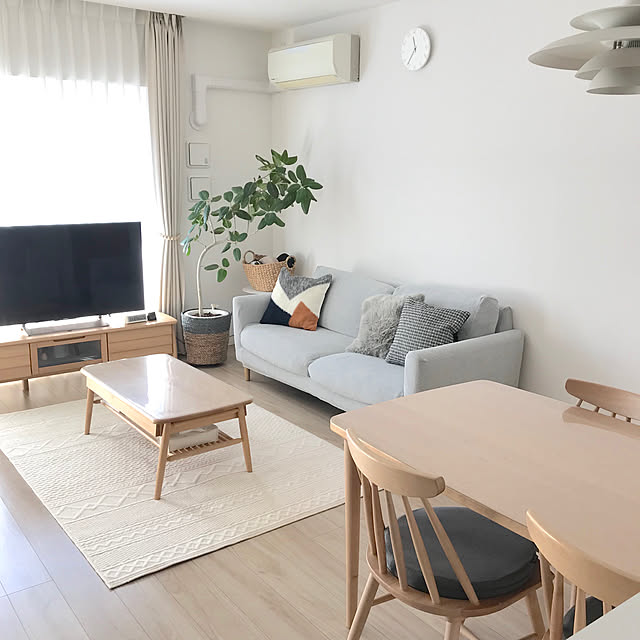 ラグ,unicoラグ,unico,ベルメゾン,シンプルインテリア,いいね&フォローありがとうございます☆,ナチュラル,北欧,マンション,KEYUCA,観葉植物,ソファ,Lounge risaの部屋