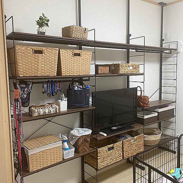 ワンコと暮らす家,犬部屋,Nポルダ,オープンシェルフ,壁面収納,オープンラック,ニトリ,柴犬がいる家,新築,建売住宅,ペットと暮らす家,新築一戸建て,イベント参加,My Shelf,ペット収納 shishiの部屋