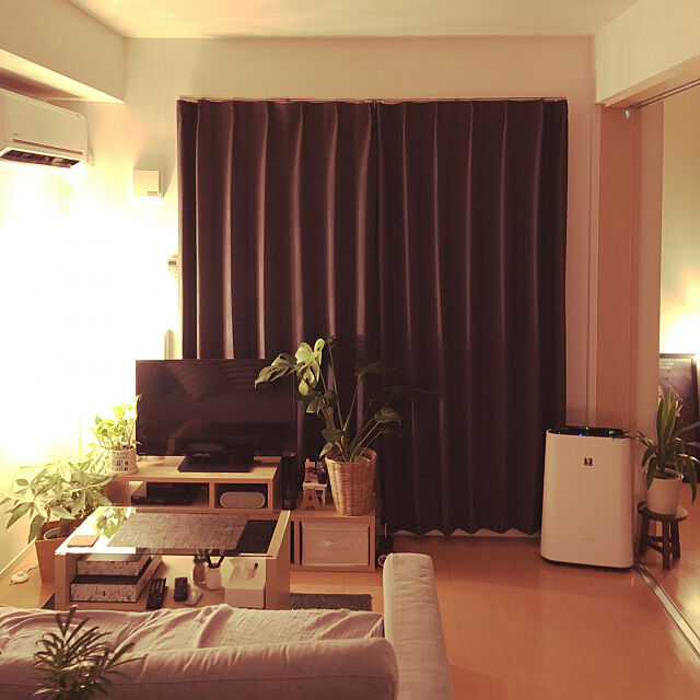 Lounge,観葉植物,照明,IKEA,ナチュラル,ソファ,1LDK,一人暮らし Kioの部屋