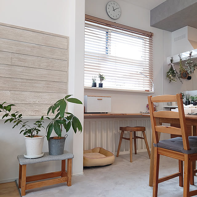 On Walls,両面テープ,ナチュラル,いぬのいる暮らし,シンプル,こどものいる暮らし,建売住宅,天井高2700,ウッドブラインド,ZARA HOME,グリーンのある暮らし,KEYUCA,ブレッドケースtree,ドライフラワー,チャコボール,スタディーカウンター kouの部屋