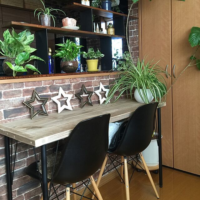 My Shelf,壁紙屋本舗,植物,観葉植物,DIY,カウンターテーブル DIY,星,古材,アイアン脚,いいね&フォローありがとうございます☆ kayo103の部屋