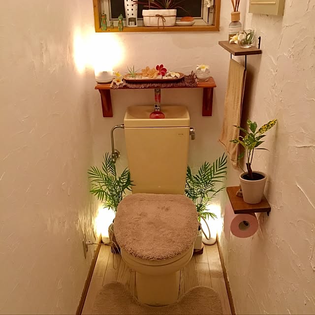 Bathroom,DIY,観葉植物,アジアン,リゾート風,アイアン雑貨,ニトリ,バリ風,ハワイアン,のーぐりーんのーらいふ Saoの部屋