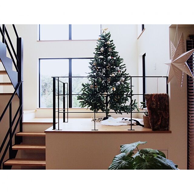 Overview,ZARAHOME,クリスマス,IKEA,ニトリ,アイアン,吹き抜け,観葉植物,階段 ayacco240の部屋