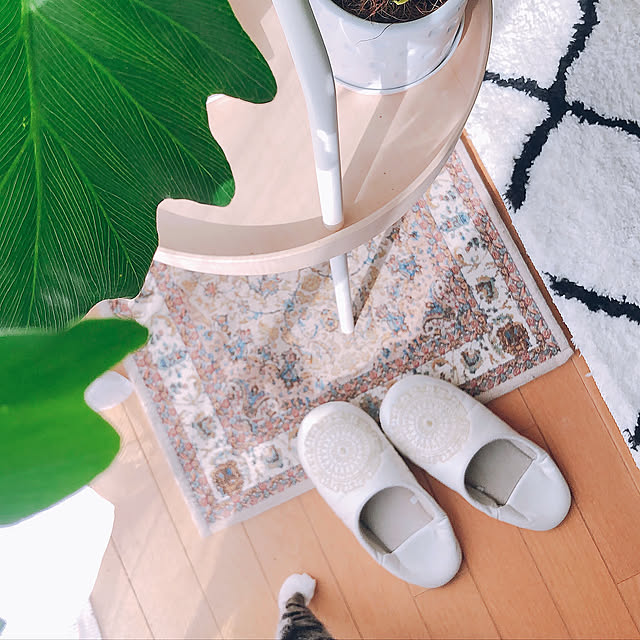 セロームの葉,ルームシューズ,ホワイトナチュラル,猫と暮らす,猫と暮らす家,観葉植物のある暮らし,お気に入りの場所,Entrance milkcocoaの部屋