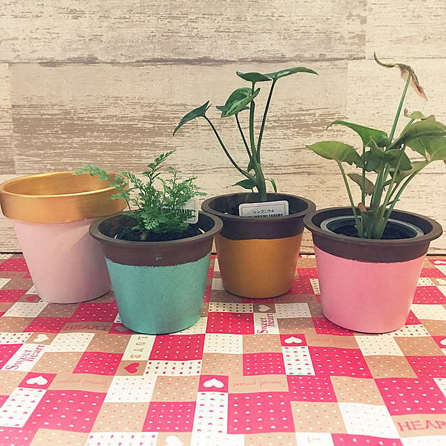 ミルクペイント,10分でできる,しただけ,観葉植物,RCカントリー倶楽部☆,ダイソー,100均,リメイク,いつもありがとうございます♪感謝☆,ピンク,セリア,植木鉢,アクリル絵の具,Overview shigetanの部屋