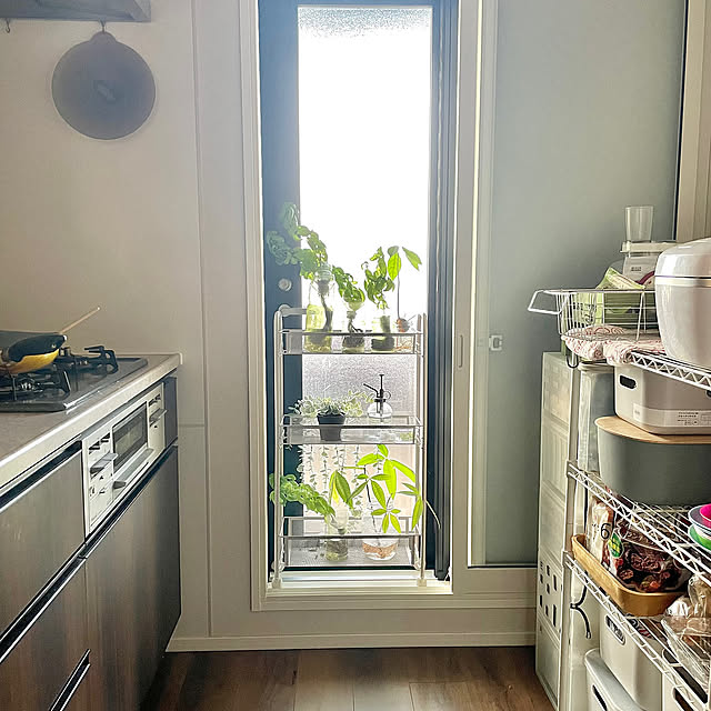 Kitchen,いちおしアイテム,マンションインテリア,グリーンのある暮らし,植物のある暮らし,デコホーム,ベランダライフ,アボカド水栽培 Mの部屋