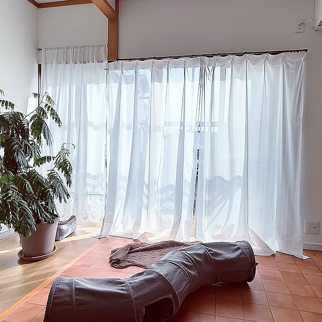 On Walls,防災,中古住宅,防災対策,平屋暮らし,スッキリ暮らしたい,ねこと暮らす。,飛散防止フィルム,見てくださってありがとうございます,皆様のあたたかさに感謝してます♡,0.1以上が良いですよ,皆にやって欲しい +CHIHARU+の部屋