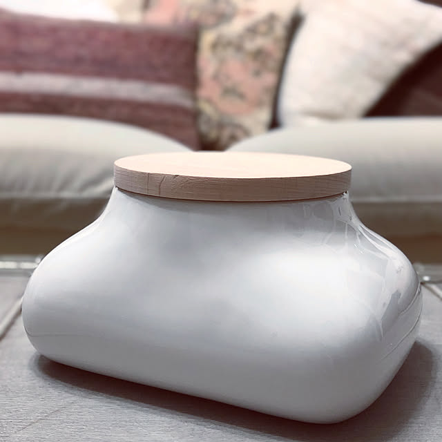 mochi,アンティークトランク,ウェットティッシュケース,ideaco,ヴィンテージラグクッション,RoomClipショッピングで買ったモノ,2021.6.20,ｱﾝﾃｨｰｸのある暮らし,Lounge Yuukopeeeの部屋