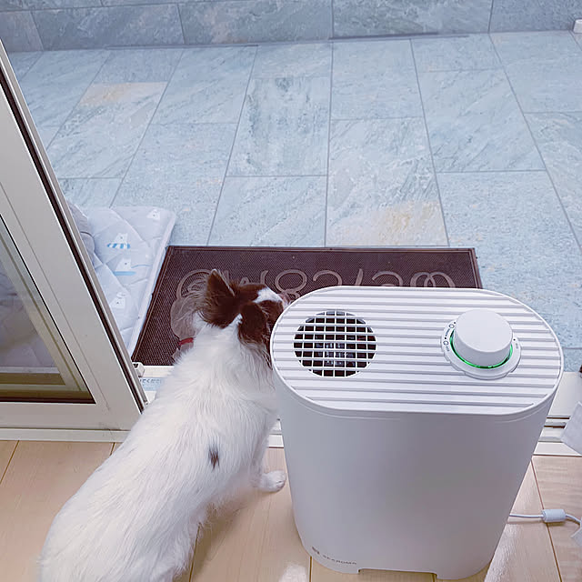 モニターpic⑤,LIXILガーデンルームココマ,アロマディフューザー,建売住宅,RCの皆さまに感謝♡,お手入れ簡単,香りのある暮らし,リクシルストア makoの部屋