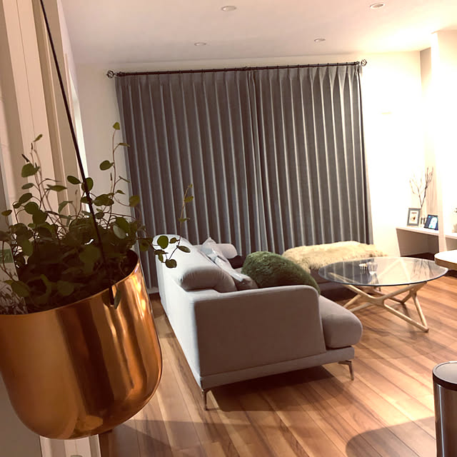 Lounge,狭い部屋　,夫婦2人暮らし,オール電化住宅,海外インテリア好き,木目大好き,北欧,グレー×ネイビー好き,平屋,男前,シンプルインテリア sei-gwenの部屋