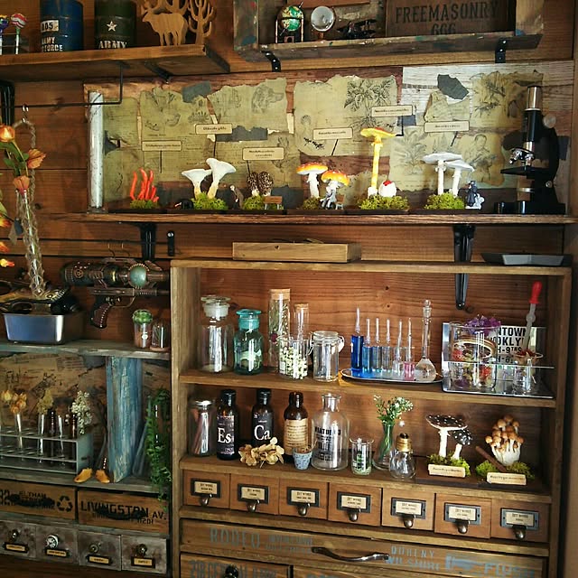 My Shelf,板壁DIY,インスタ→eriri.81,団地部,セリアリメイク,賃貸DIY,和室を改造,団地,棚DIY,賃貸でも諦めない！,アトリエ,インスタと同じpic,賃貸,理系インテリア,収納棚,セリア,粘土きのこ,ストームグラス,試験管 eriri81の部屋