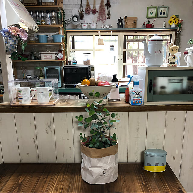 鉢カバーは、ダイソーペーパーバッグ,ユーカリポポラス,Kitchen rainbow26の部屋