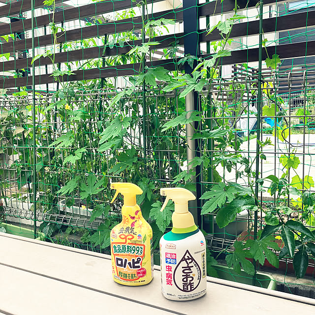 グリーンカーテン,ゴーヤ,アースガーデン,害虫対策,ガーデニング,Overview,家庭菜園 onsen-_-tamagoの部屋