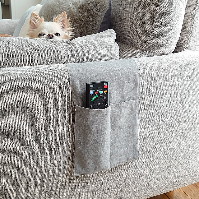 Lounge,リモコン収納,リモコン置き場,リモコン入れ,ソファー,IKEA macoの部屋