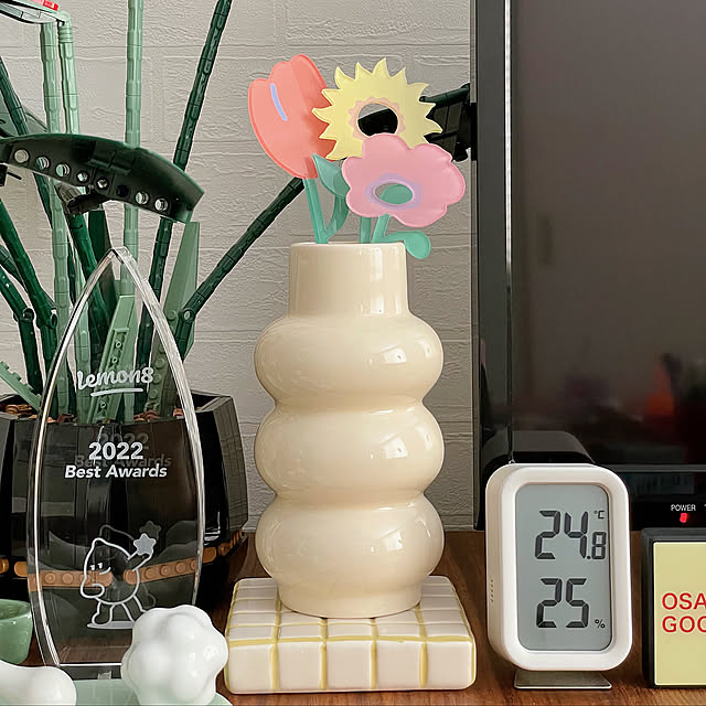 テレビボード,ディスプレイ,新生活,昭和レトロ,花瓶,カラフル,スリコ,フラワーベース,レトロ,トレー,300coins,賃貸,ミッドセンチュリー,スペースエイジ,賃貸インテリア,ポップ,レトロポップ,雑貨,My Shelf maiyokoyamaの部屋