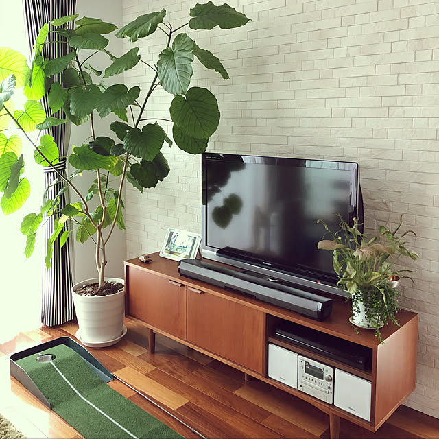 Lounge,unico,テレビボード,観葉植物,エコカラットの壁,ウンベラータ,unico TVボード soranoiroの部屋