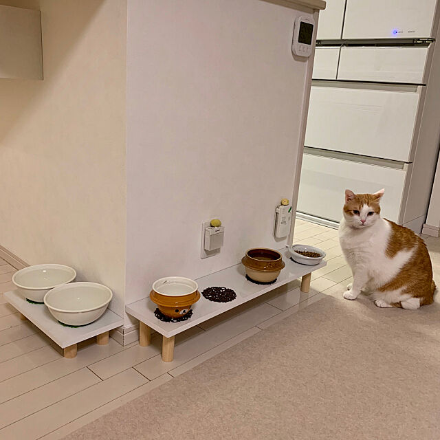 DIY,猫,ねこ,ねこのいる日常,猫と暮らす,ごはん台,びっけ,釜飯の器,Overview bikkeの部屋