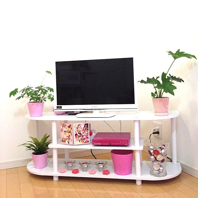 Lounge,ピンク,観葉植物,テレビ meloruriの部屋