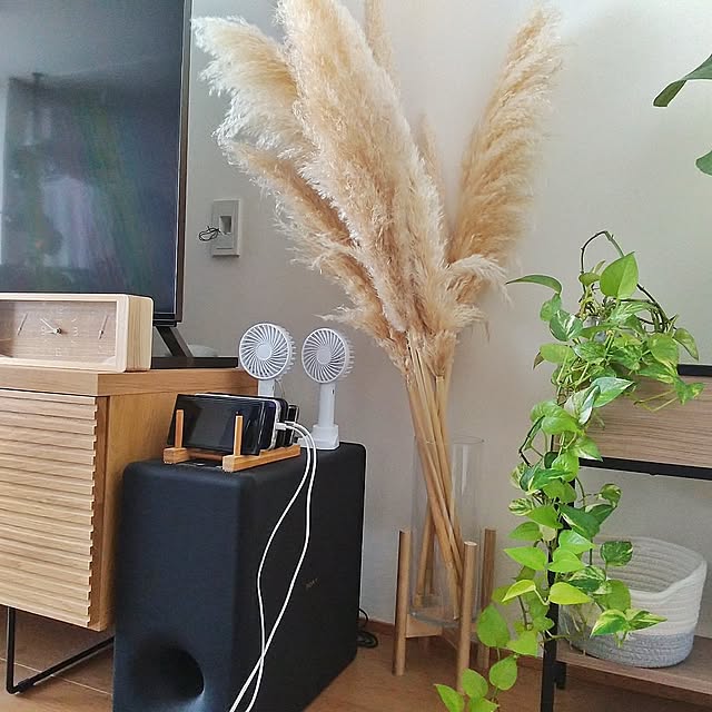 Lounge,100均,ダイソー,ハンディファン,グリーンのある暮らし,観葉植物のある暮らし,グリーン,ディッシュスタンド,スマホスタンド yukoの部屋