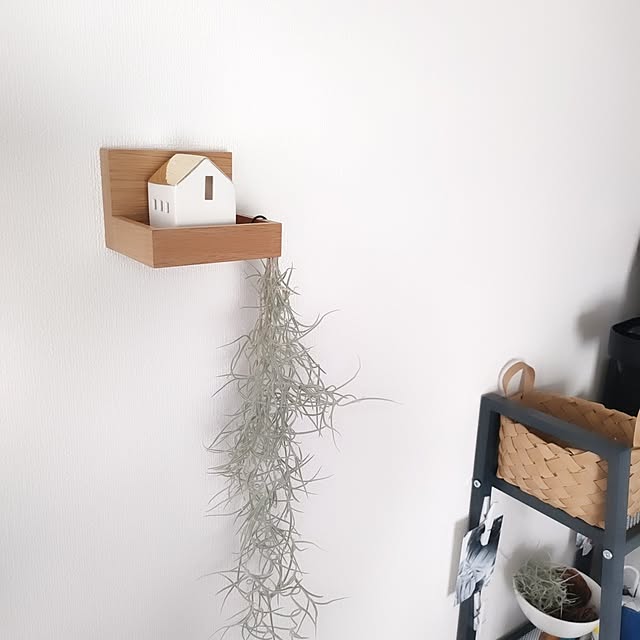 My Shelf,スッキリ暮らしたい,シンプルな暮らし,心地よく暮らす工夫,無印良品 壁に付けられる家具,ディスプレイコーナー,余白のある暮らし,自分なりの癒やし pinponmamの部屋