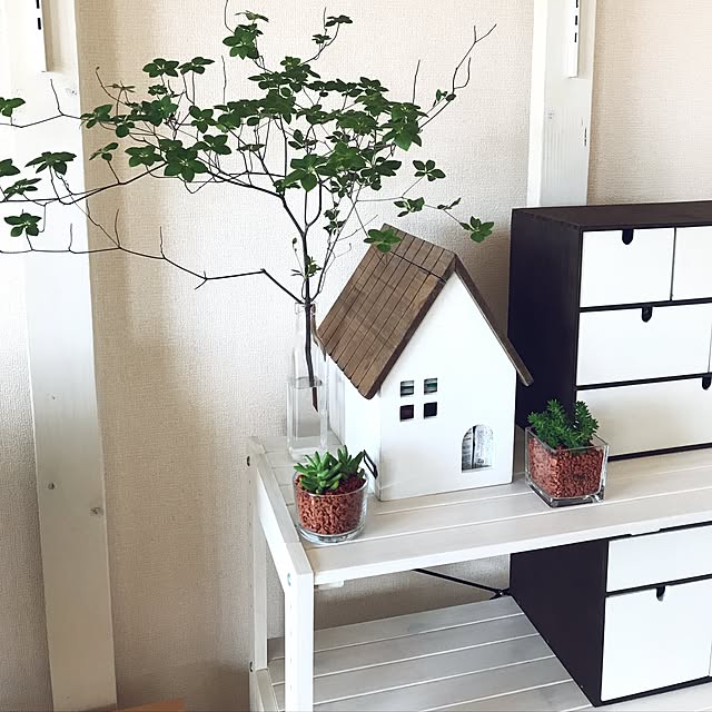 My Shelf,植物,緑のある暮らし,観葉植物,カフェ風,カフェ風インテリアを目指して,ナチュラル,多肉植物,フォローお気軽にして下さい,いいね、フォロー本当に感謝デス☺︎,木が好き,カフェ風インテリア,賃貸でも楽しく♪ youの部屋