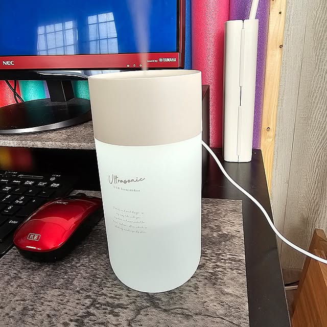 可愛いデザイン,加湿器,3coins sinの部屋