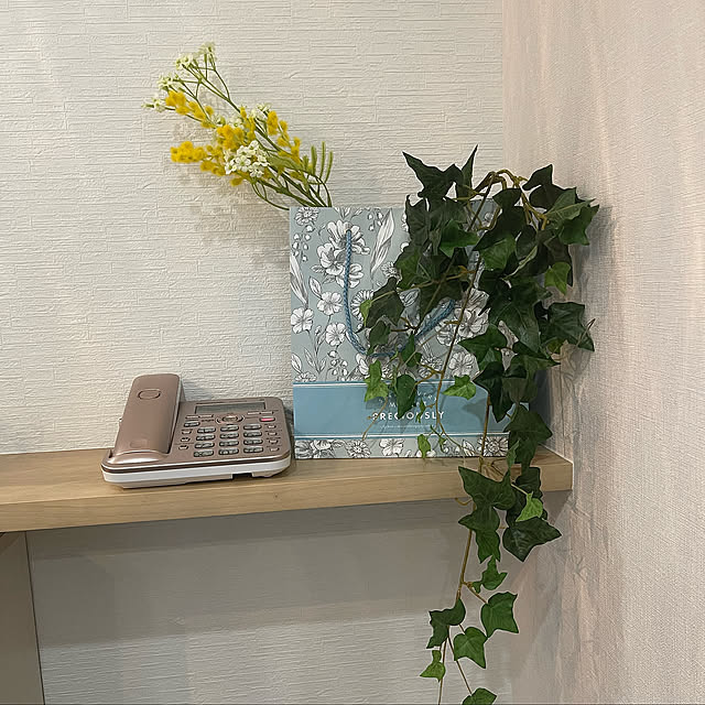 ナチュラル,雑貨,北欧,夏,フェイクグリーン,DIY,100均,Lounge sa_yuの部屋