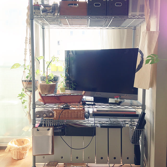 My Shelf,ファイルボックス,ドウシシャ,スチールラック,一人暮らし,ひとり暮らし,大人女子部屋,アイビー,逆光,日光浴,プラントハンガー,ヒメモンステラ,テレビ,無印良品,モニター経過報告 coroの部屋